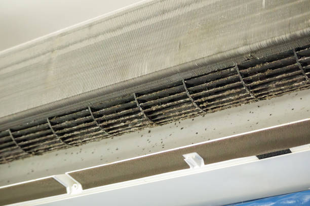 Best Air Duct Cleaning Near Me  in Dogtown, CA